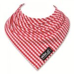 Red Gingham Skibz Teething Bib